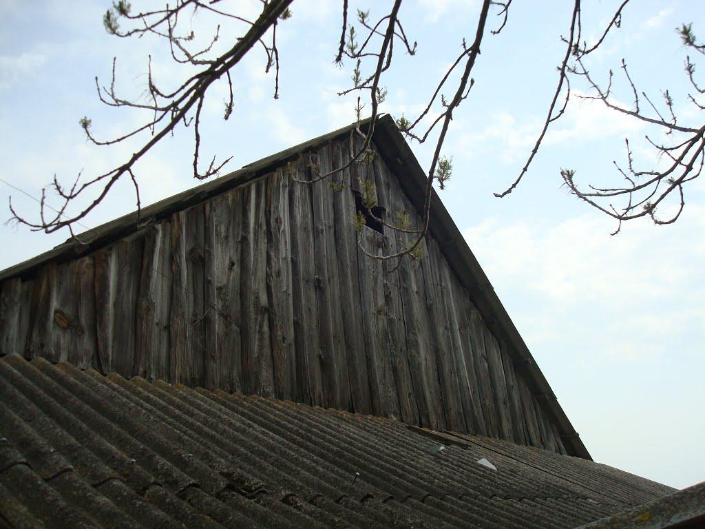 Дроздні з panoramio.com - Дроздни