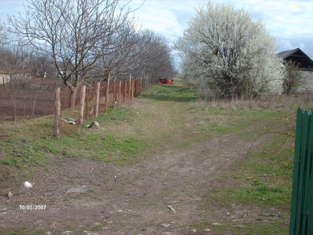 Серебрія з panoramio.com - Серебрія