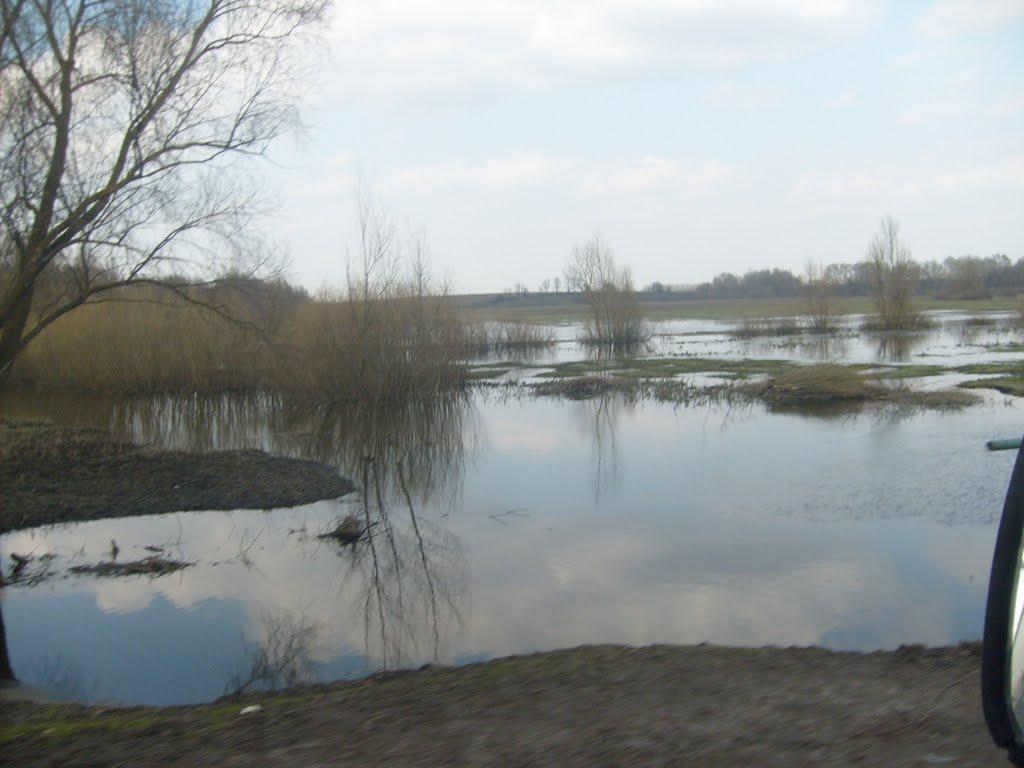 Сасинівка з panoramio.com - Сасинівка