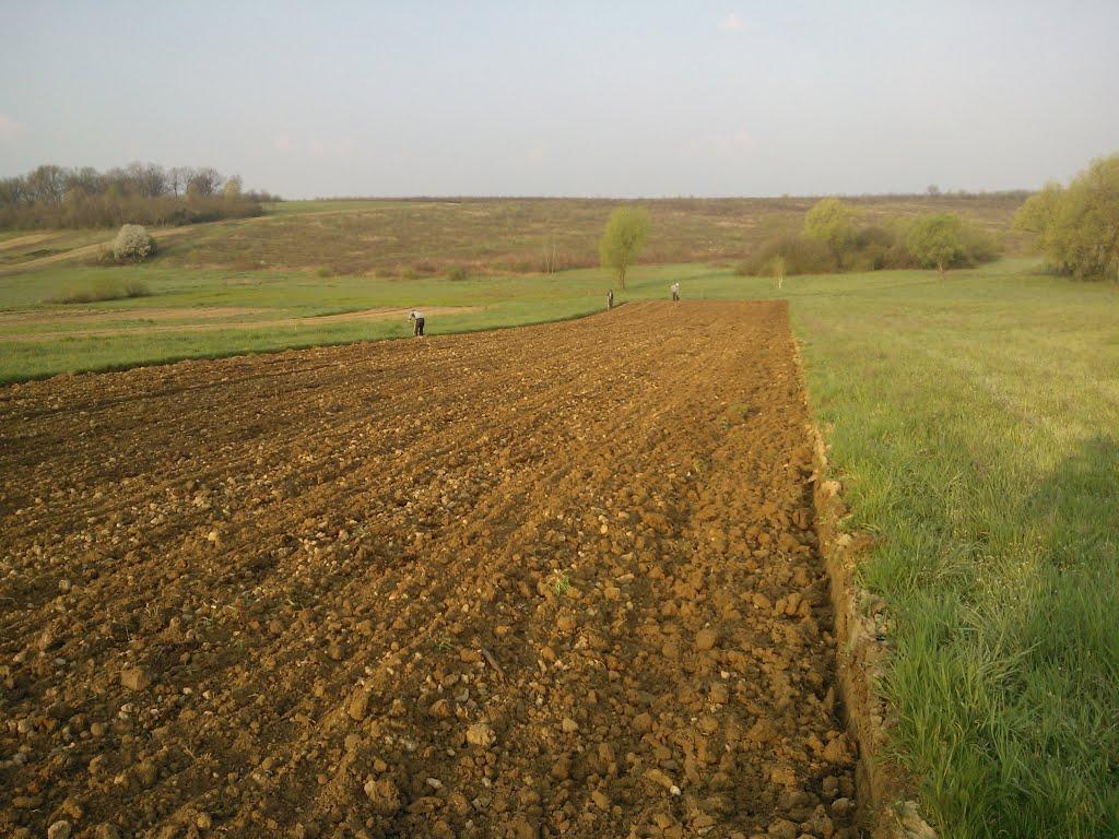 Пістрялово з panoramio.com - Пістрялово