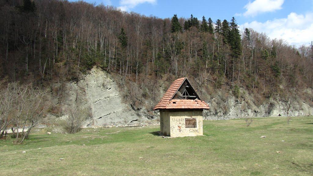 Новий Мізунь з panoramio.com - Новый Мизунь