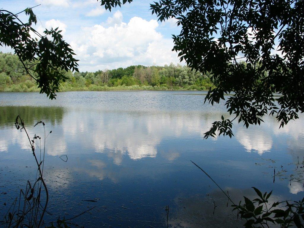 Велика Павлівка з panoramio.com - Velyka Pavlivka