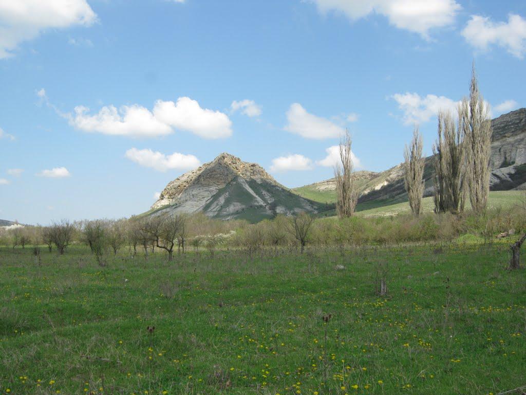 Мічурінське з panoramio.com - Мичуринское