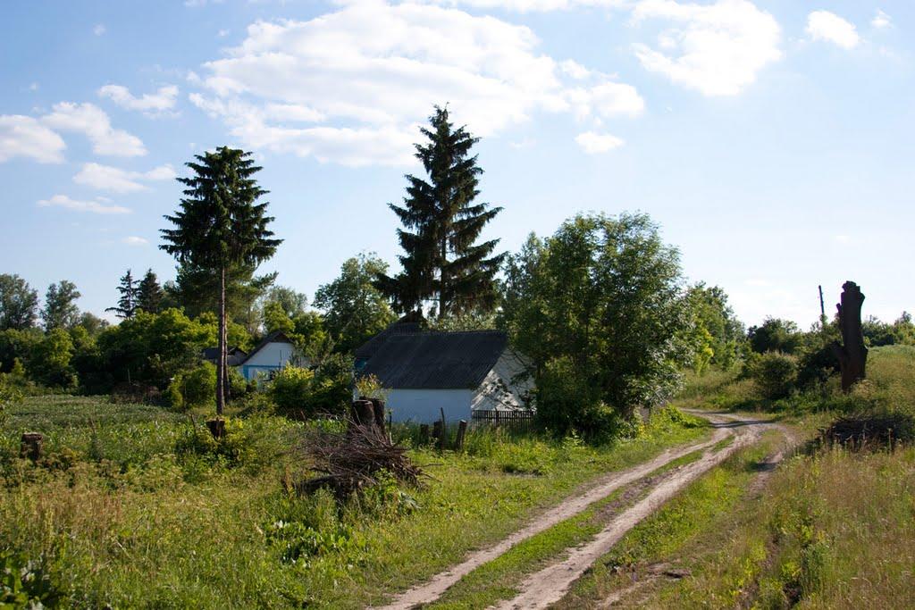 Розкопане з panoramio.com - Раскопанное