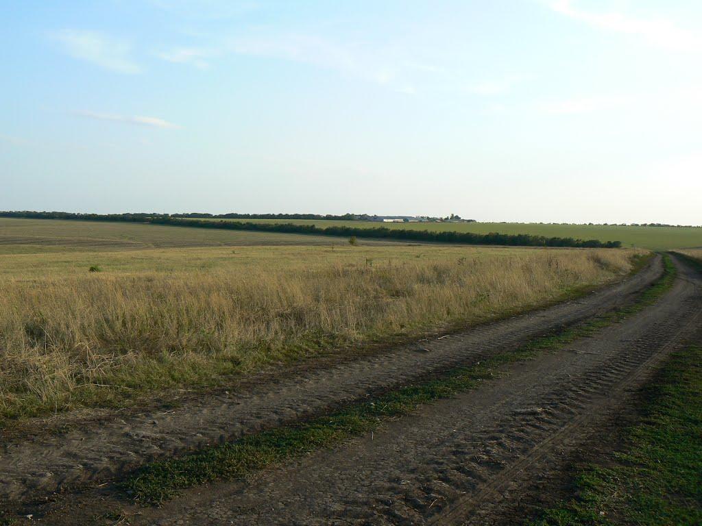 Новоукраїнка з panoramio.com - Новоукраїнка