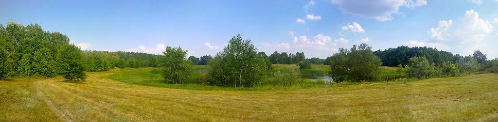 Приліпка з panoramio.com - Прилипка