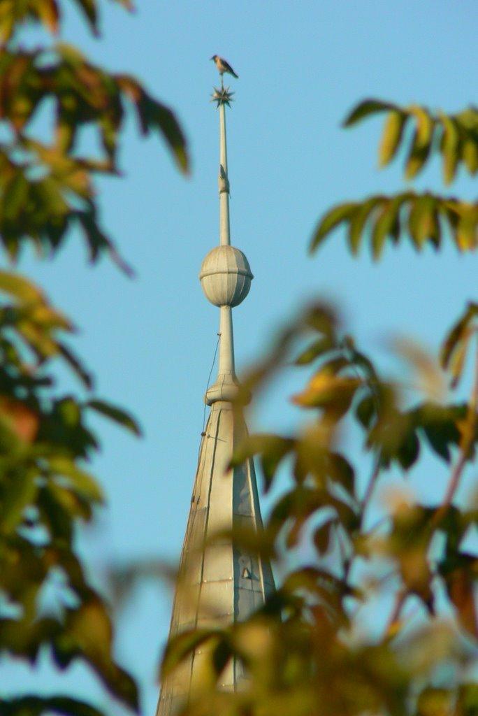 Косонь з panoramio.com - Koson