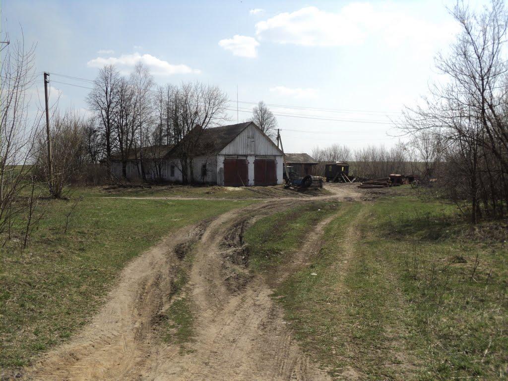 Осоївка з panoramio.com - Осоевка