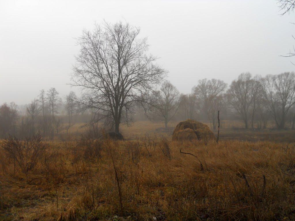 Каціри з panoramio.com - Кочиры