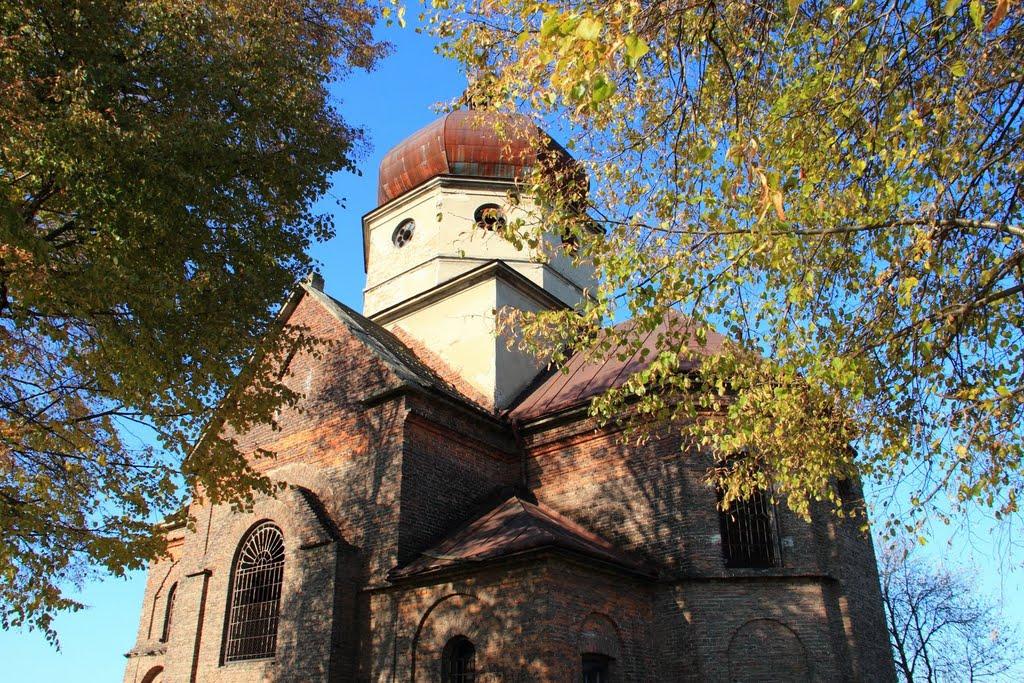 Биків з panoramio.com - Быков