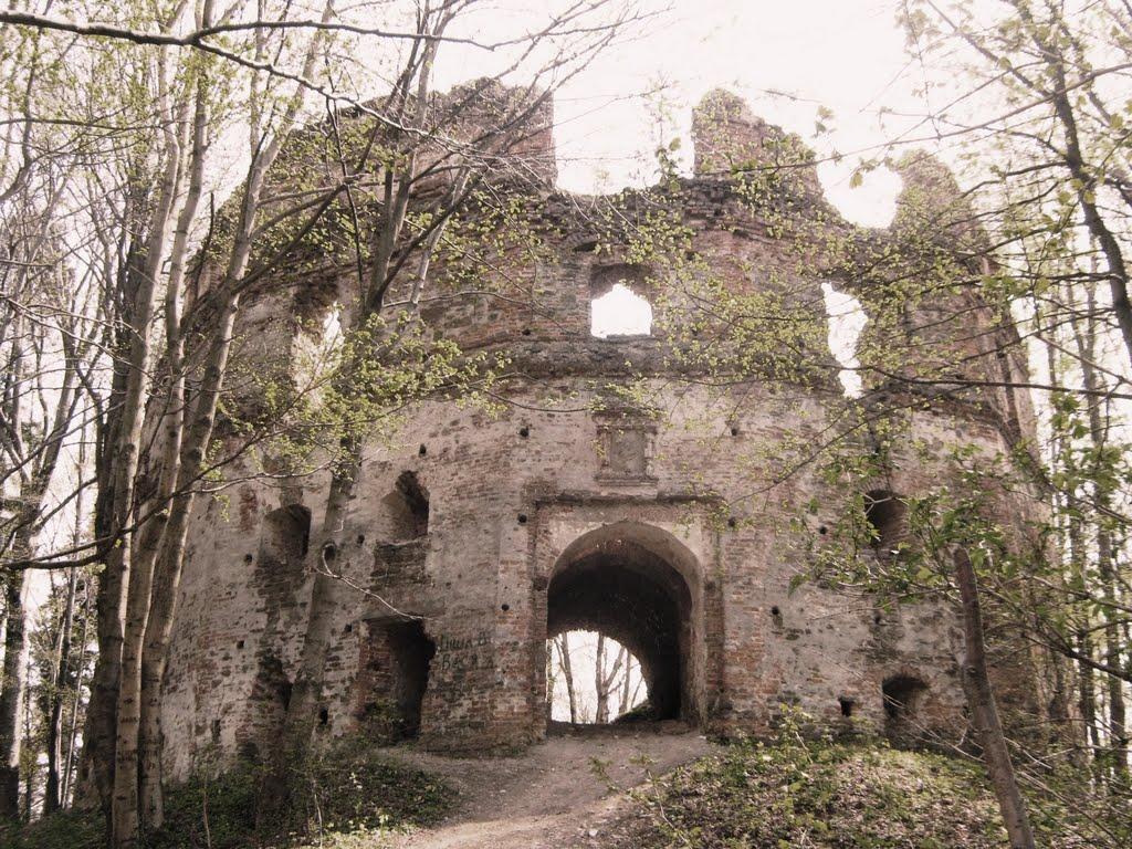 Добромиль з panoramio.com - Dobromyl