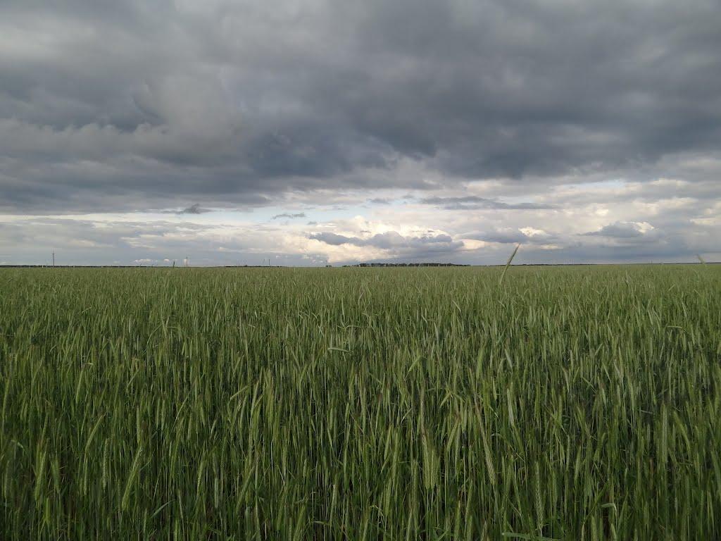 Іванівка з panoramio.com - Ивановка