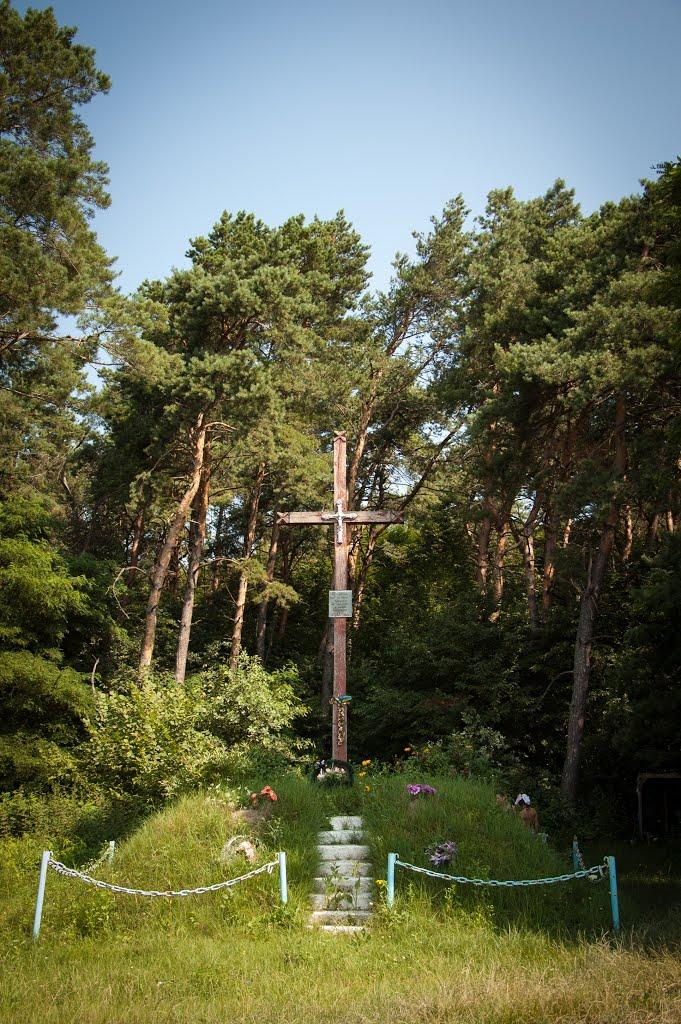 Теслугів з panoramio.com - Теслугів