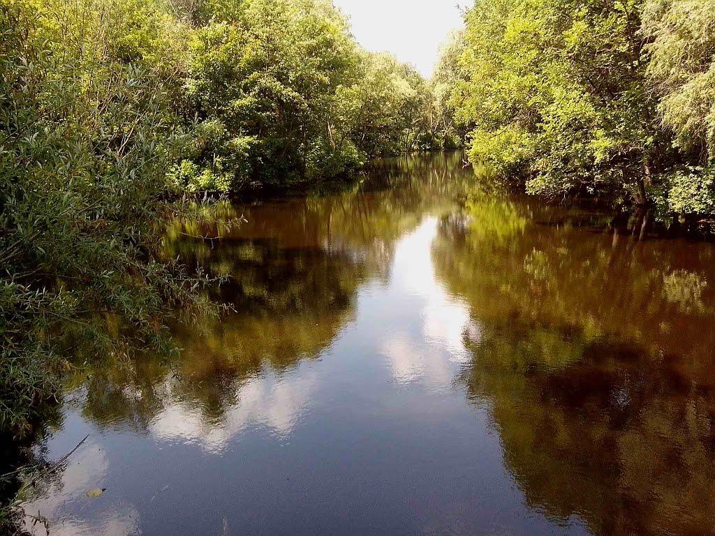 Хорішки з panoramio.com - Khorishky
