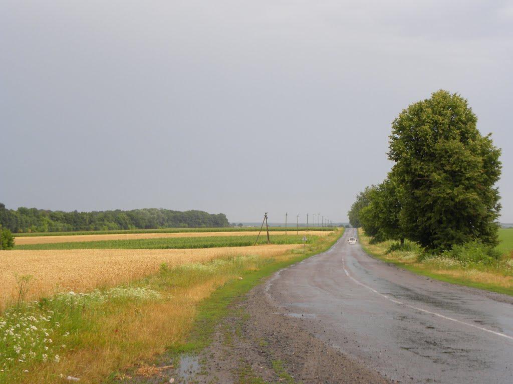 Антоніна з panoramio.com - Антоніна