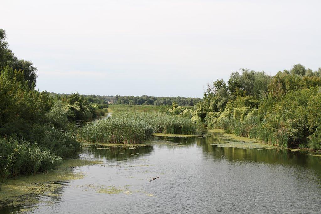 Придніпровське з panoramio.com - Придніпровське