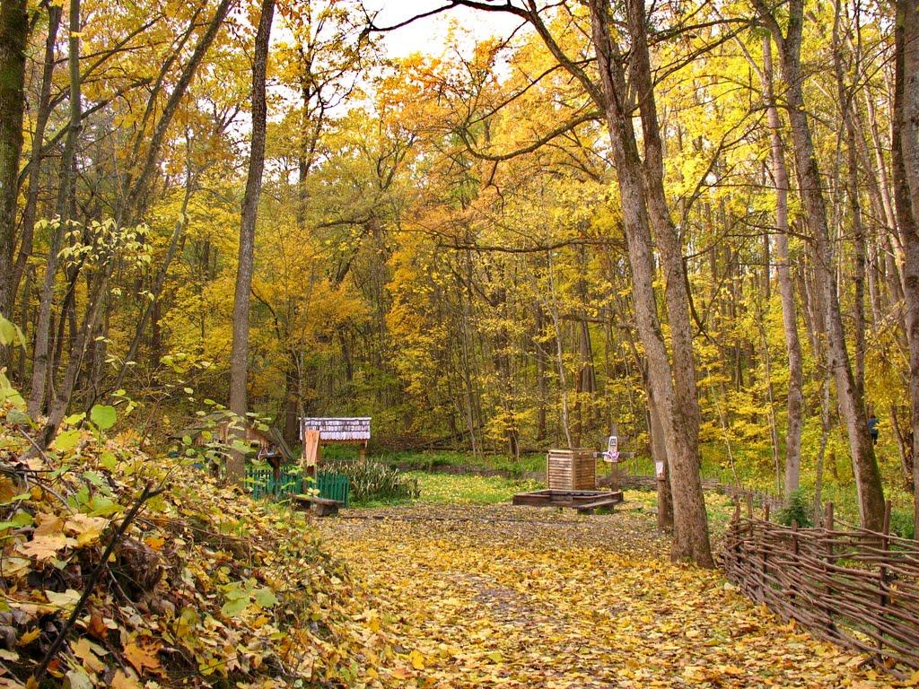 Івахнівка з panoramio.com - Івахнівка