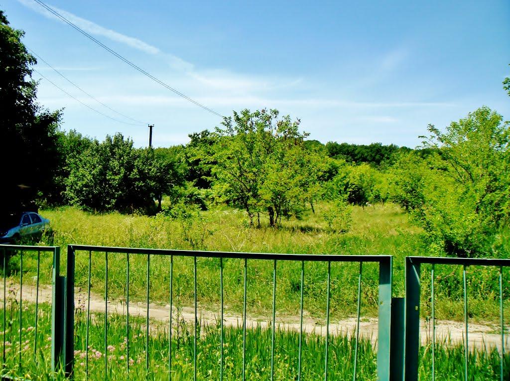 Козацьке з panoramio.com - Казацкое