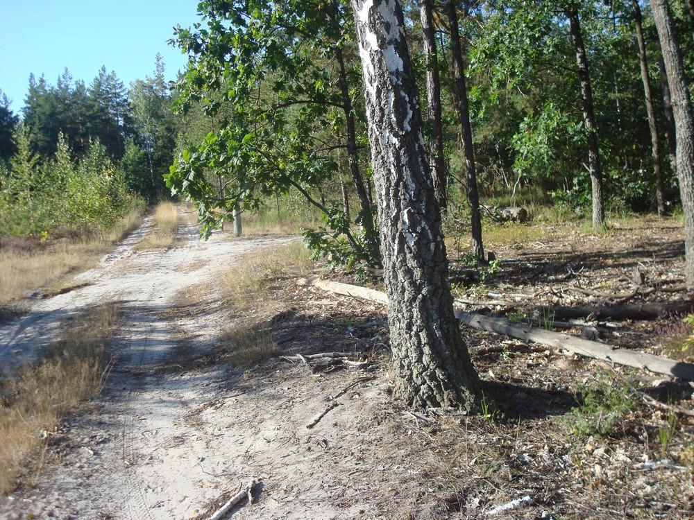 Бондарня з panoramio.com - Бондарня