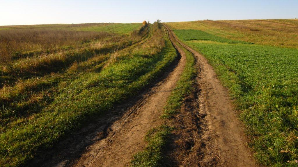 Торговиця з panoramio.com - Торговиця