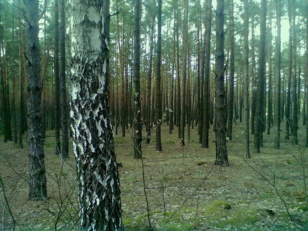 Острог з panoramio.com - Острог