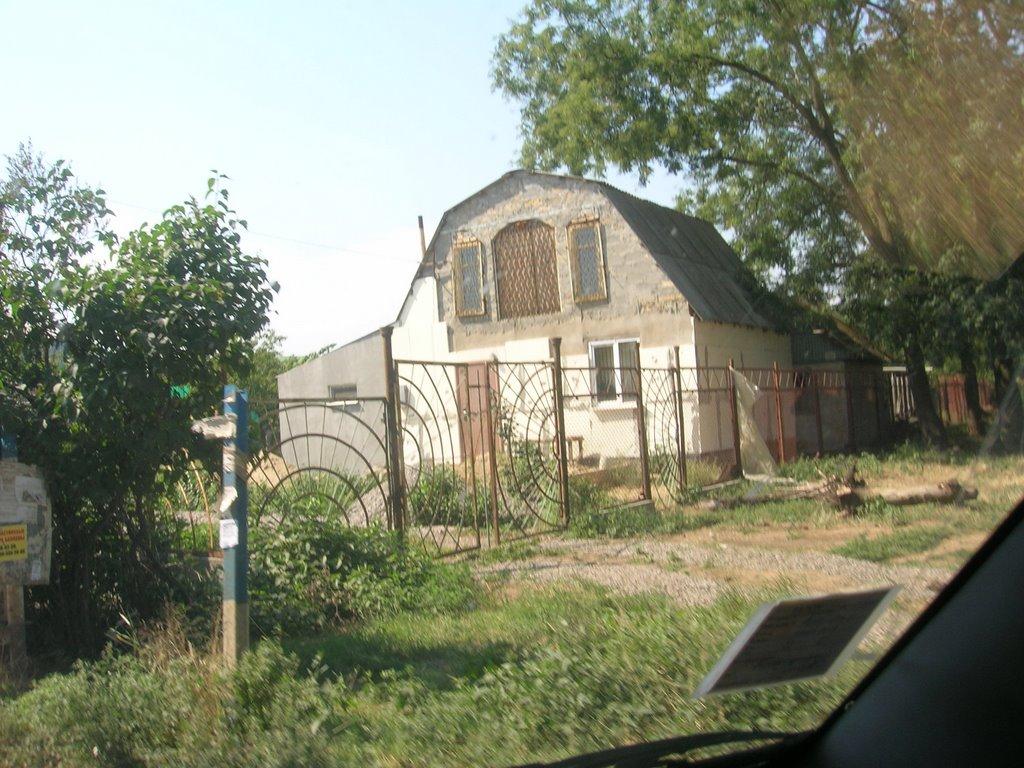 Світле з panoramio.com - Светлое