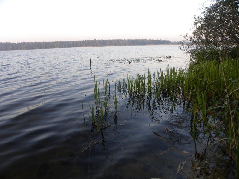 Перешпа з panoramio.com - Перешпа