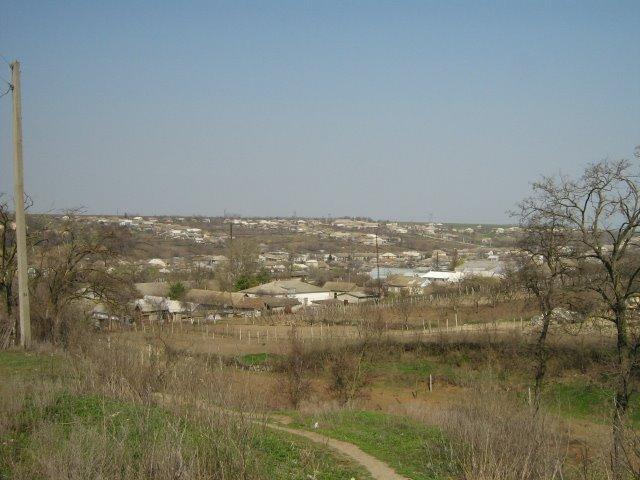 Дмитрівка з panoramio.com - Дмитрівка