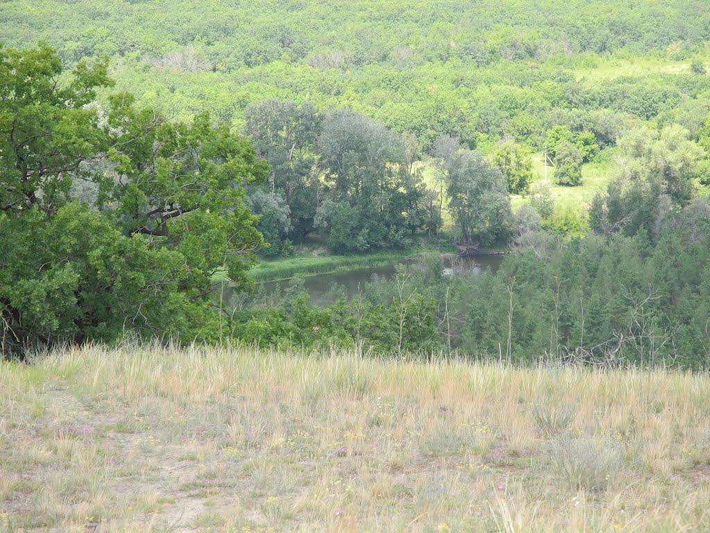 Кружилівка з panoramio.com - Кружиловка