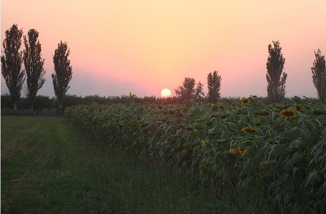 Роздол з panoramio.com - Роздол