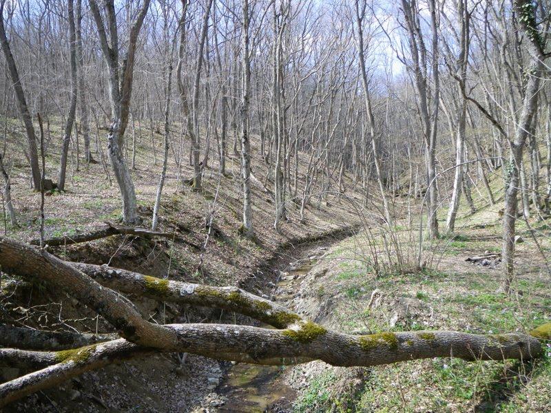 Краснокам'янка з panoramio.com - Краснокаменка