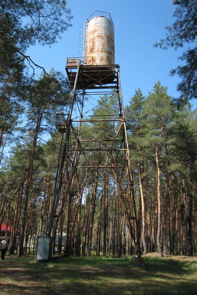Новопсков з panoramio.com - Novopskov
