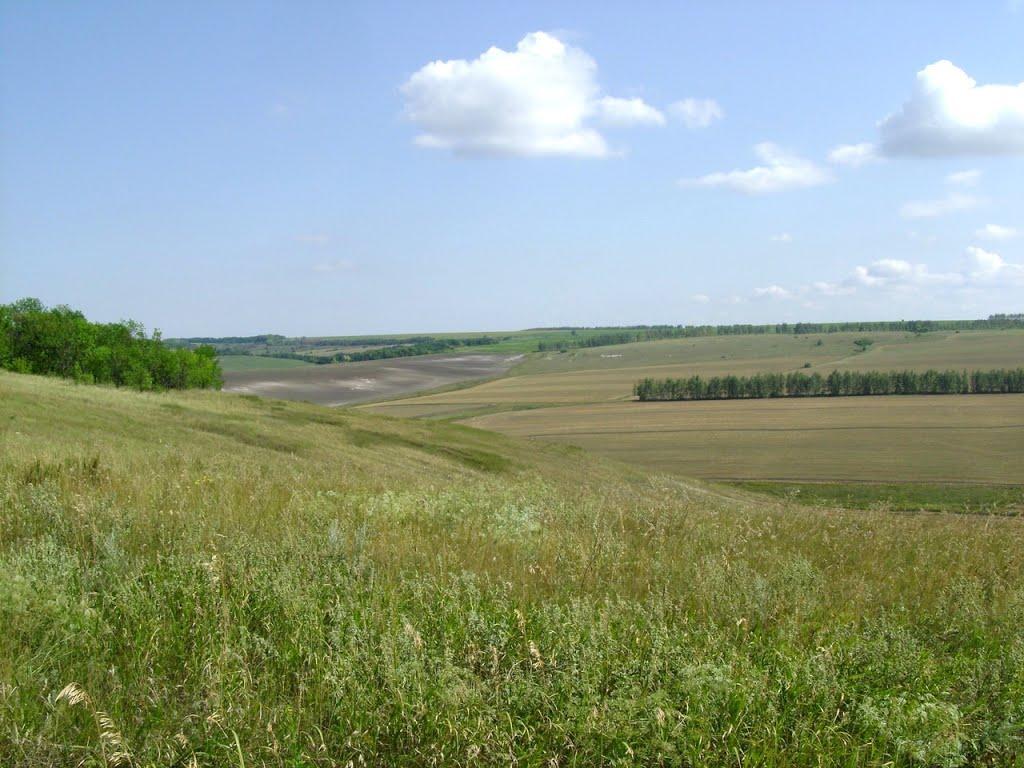 Лозне з panoramio.com - Лозное