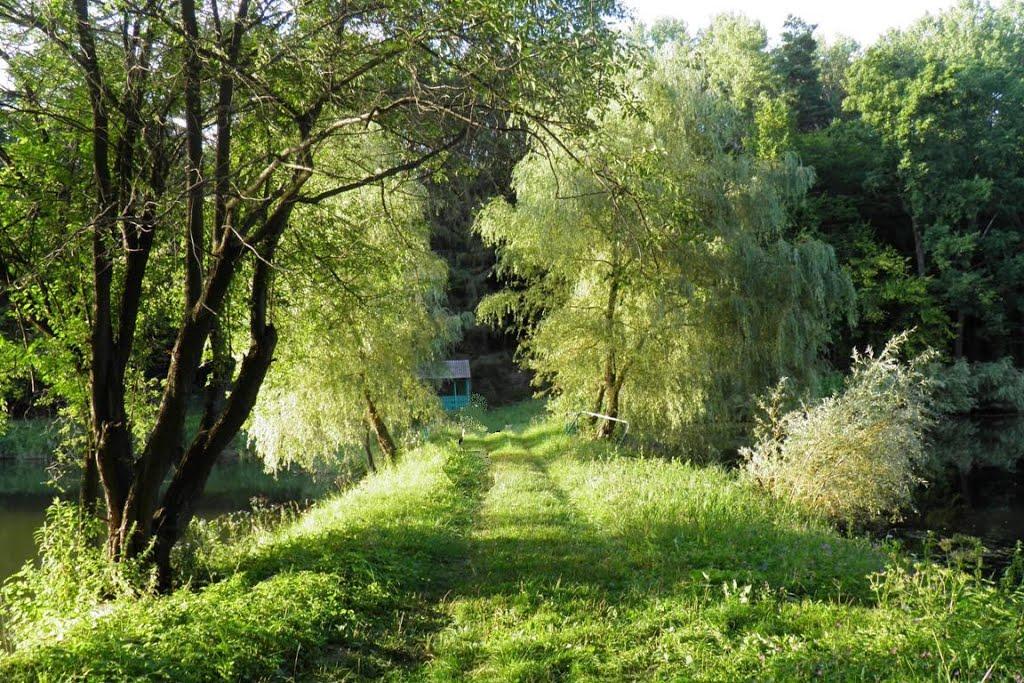 Верхівка з panoramio.com - Верховка