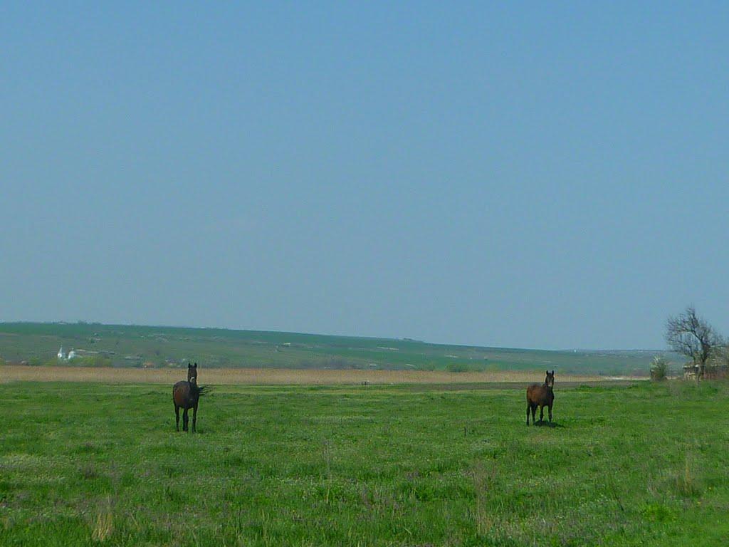 Юрашеве з panoramio.com - Юрашеве
