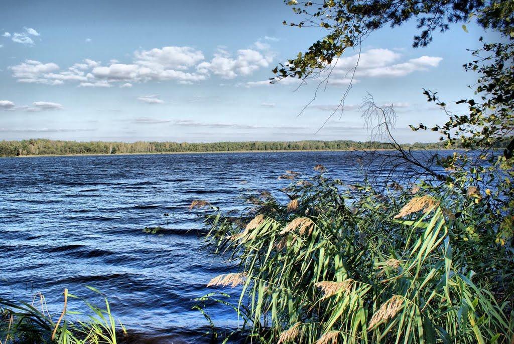 Перешпа з panoramio.com - Перешпа