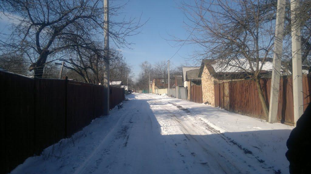 Марківці з panoramio.com - Марковцы