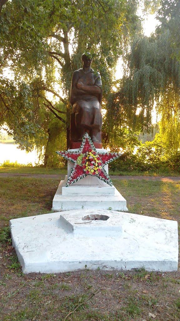 Вільшана з panoramio.com - Вільшана