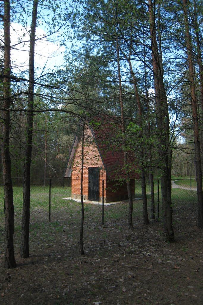 Новопсков з panoramio.com - Novopskov