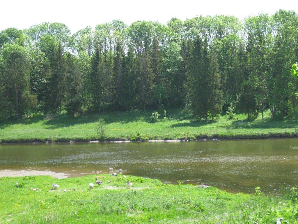 Мислятин з panoramio.com - Мислятин