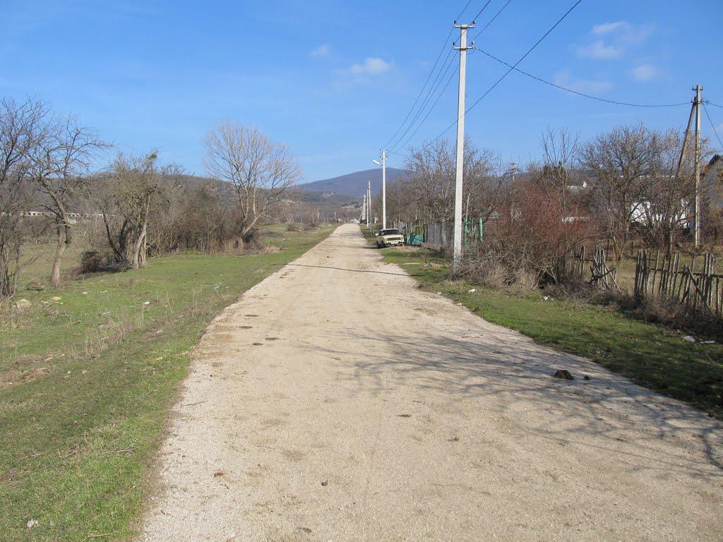 Новобобрівське з panoramio.com - Новобобровское