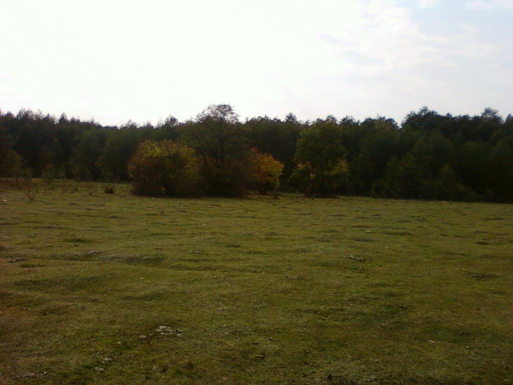 Павлівка з panoramio.com - Павлівка