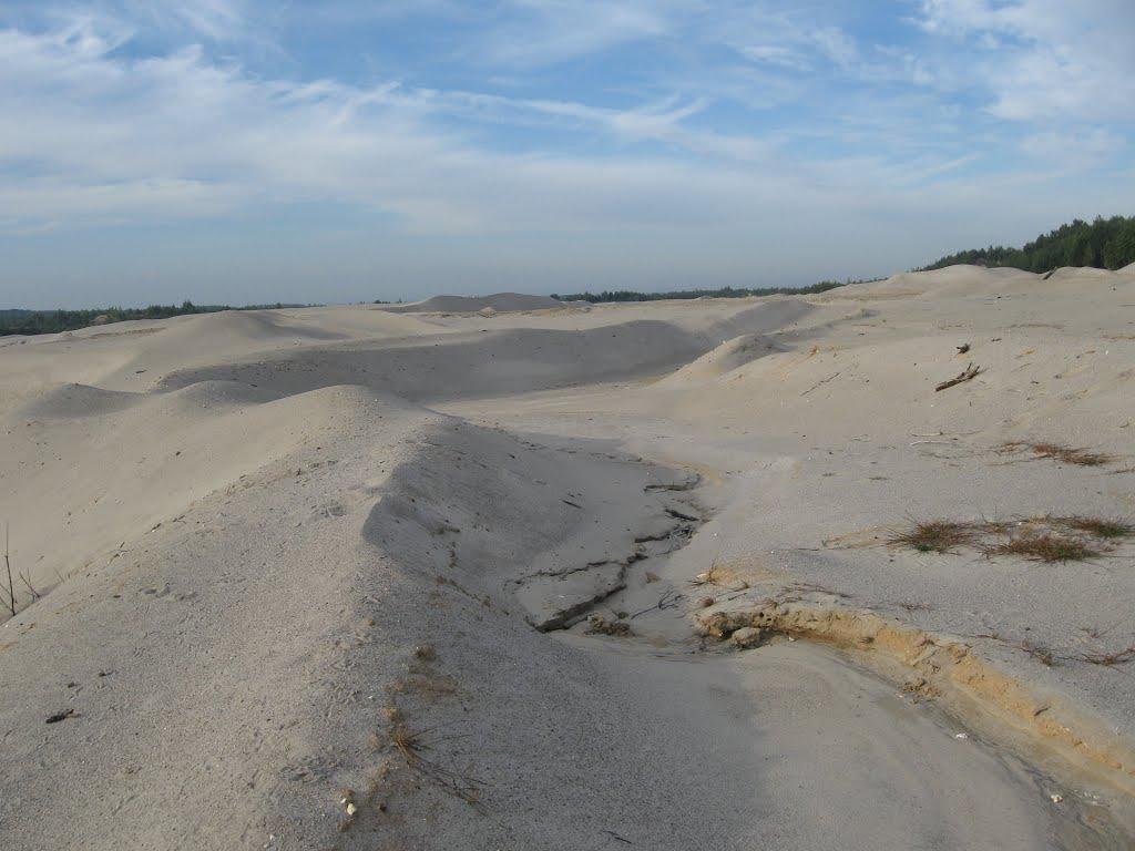 Лісобуда з panoramio.com - Лесобуда