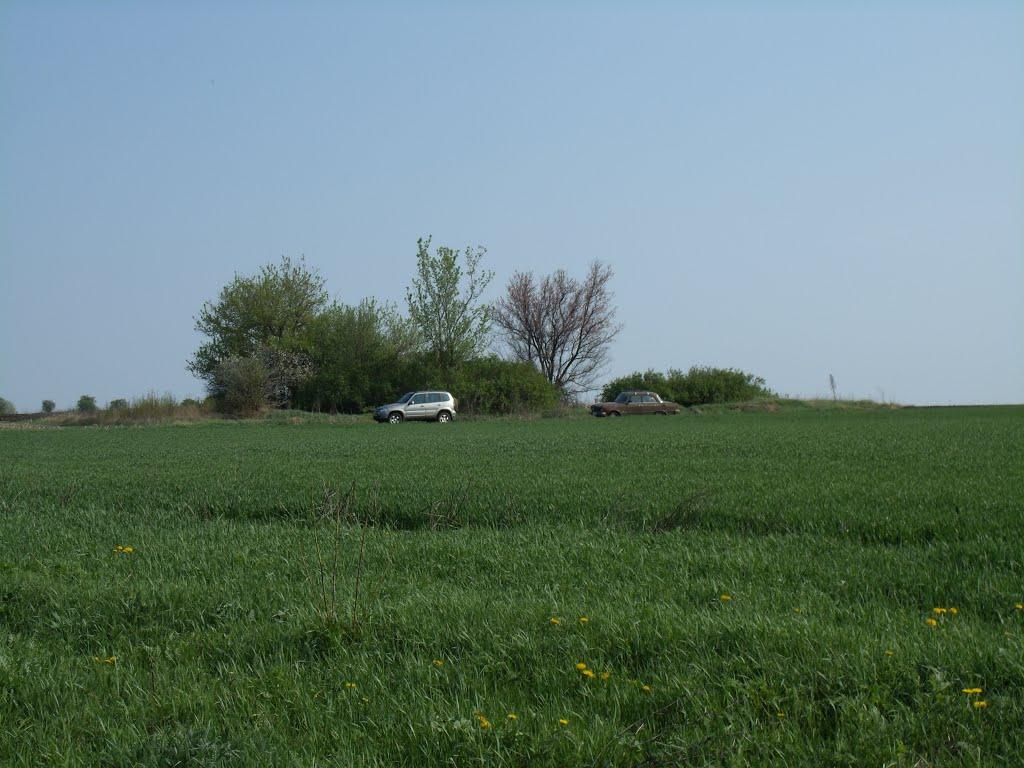 Острівка з panoramio.com - Острівка