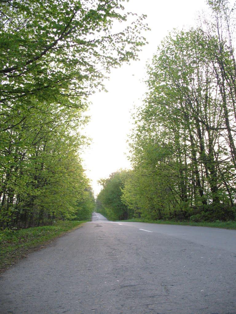 Червона Зірка з panoramio.com - Червона Зірка