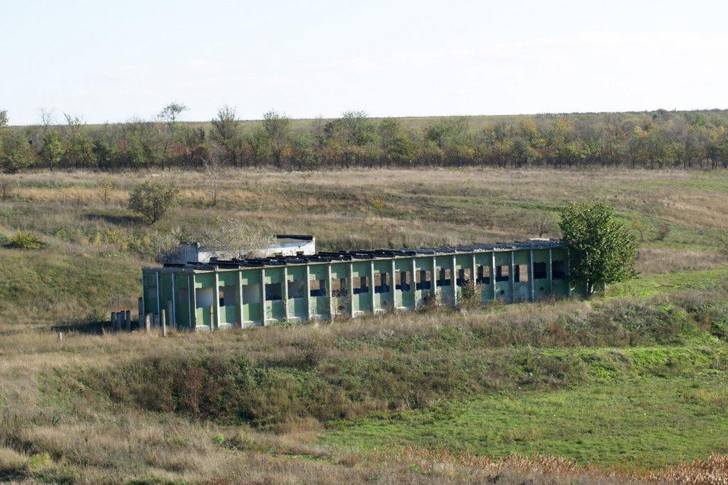 Світле з panoramio.com - Светлое