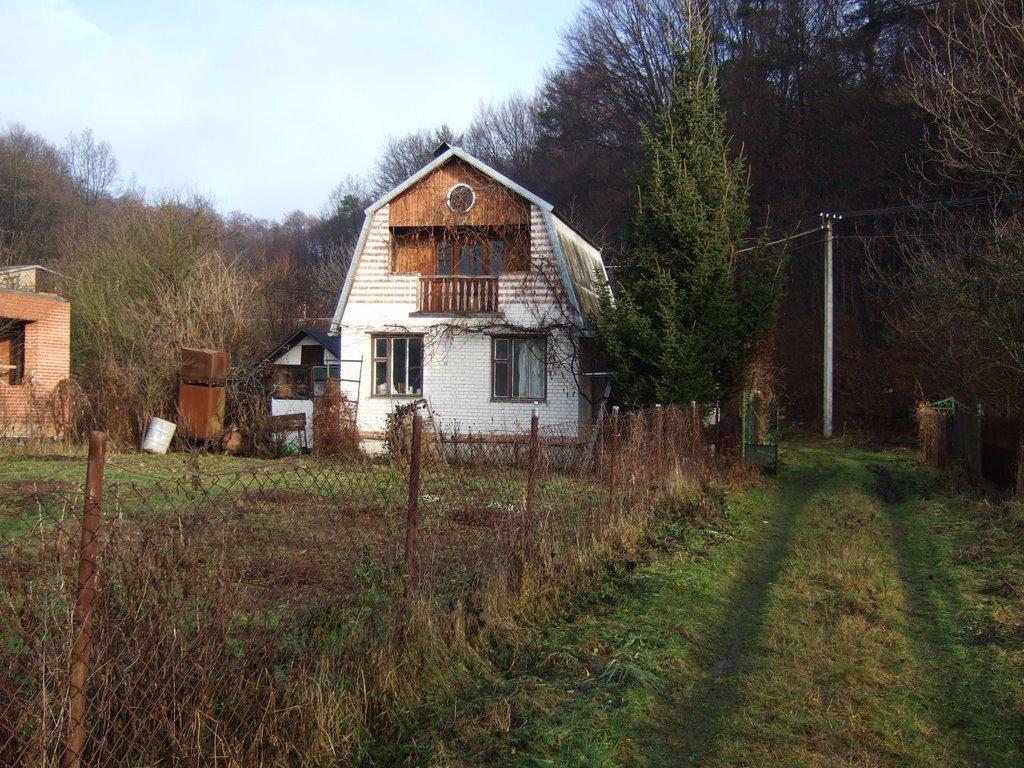 Зарудці з panoramio.com - Зарудцы