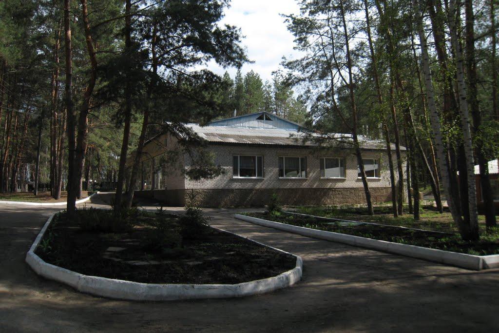 Новопсков з panoramio.com - Новопсков