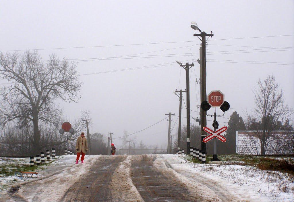 Червонознам'янка з panoramio.com - Червонознам'янка