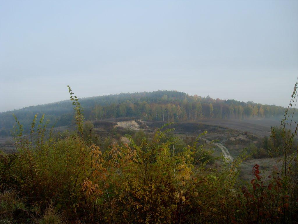 Лісогірка з panoramio.com - Лесогорка
